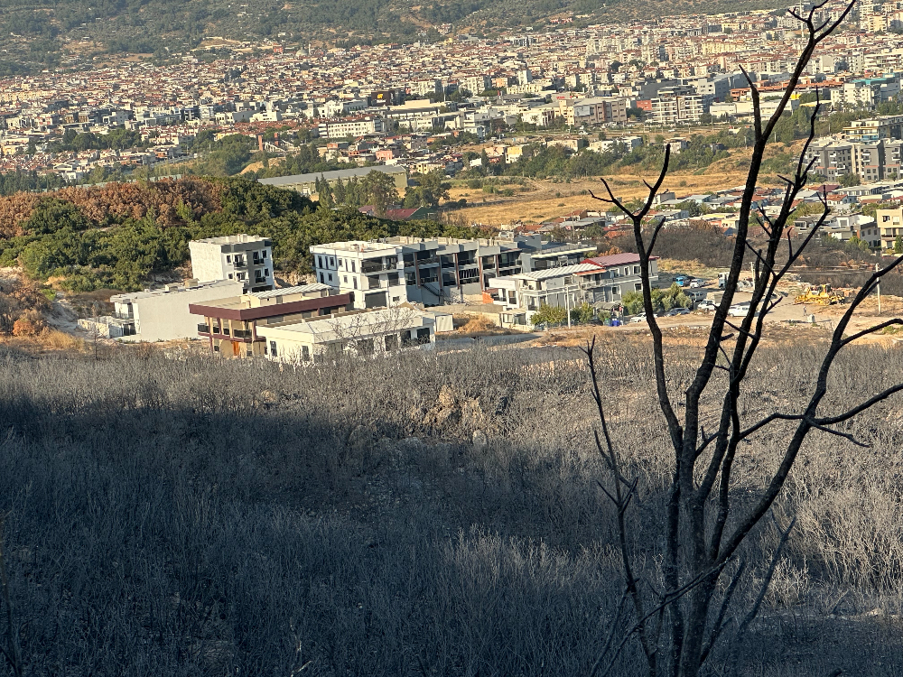 Buca - Gaziemir Yangını Fotoğraf Arşivi