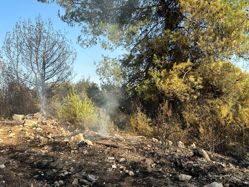 Buca - Gaziemir Yangını Fotoğraf Arşivi