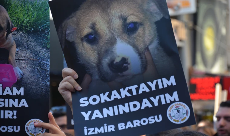 İzmir Barosundan Danıştay'a iptal başvurusu