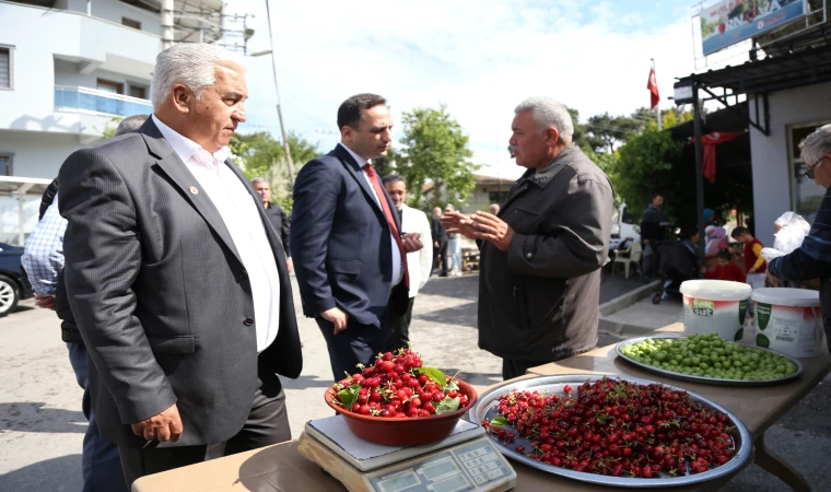 Bornova Tohum Takas Şenliği 15 Şubat'ta