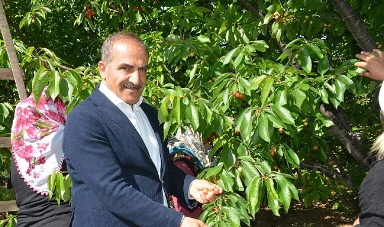 Uçak: “Don, kiraz ihracatını vurdu”