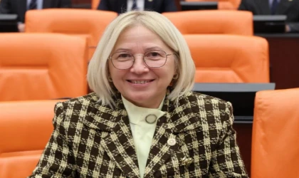 CHP’li Milletvekili Yontar’dan ’Fahiş Fiyatlar Kanunu’ tepkisi