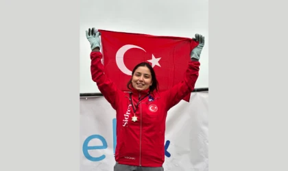 Bengisu Avcı Yılı