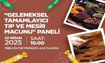 ‘Dolu Dolu Festival’ Başlıyor