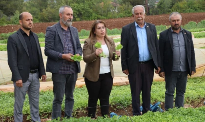 Gülizar Biçer Karaca: “Tütün üreticileri darda, zorda, isyanda…”