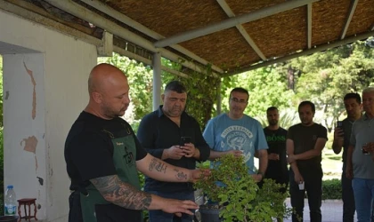 “Doğadan Sanata Sanattan Şehre”