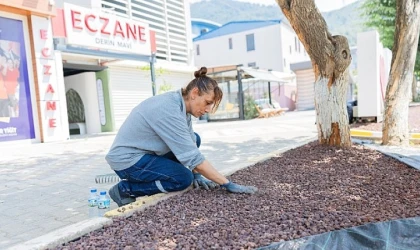 Balçova Belediyesi’nden park ve yeşil alanlarda su tasarrufu