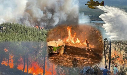 Bugüne dek çıkan orman yangınlarının failleri açıklandı