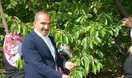 Uçak: “Don, kiraz ihracatını vurdu”