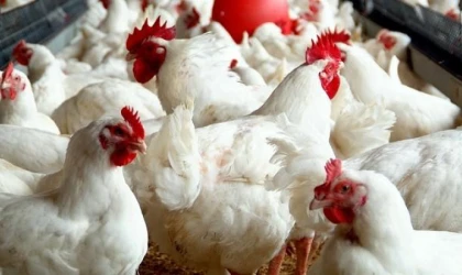 Suriye’den Türk ürünlerine yasak