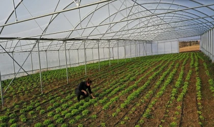 Büyükşehir’den çiftçilere modern sera desteği