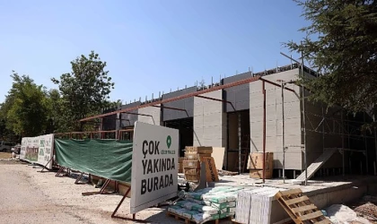 Çankaya, Çınarların Yeni Buluşma Noktası Olacak