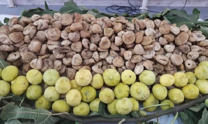 Kuru incirin ihracat yolculuğu 15 Ekim’de başlayacak