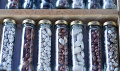 Minik eller toprakla buluştu