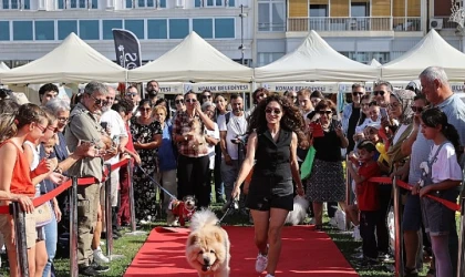 Patilerin Festivali 6 yaşında