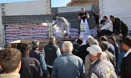 Konya Büyükşehir’den Çiftçiye Kuraklığa Dayanıklı Mercimek Tohumu Desteği