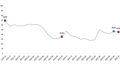 Tarım Ürünleri Üretici Fiyat Endeksi, Ekim 2025