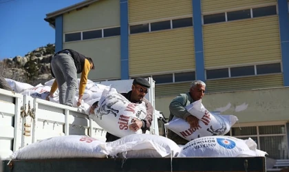 Büyükşehir’den 2025 yılında hayvancılığa 503 bin 625 kg yem desteği