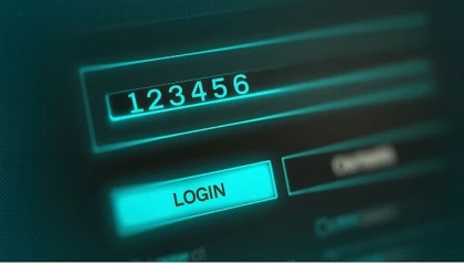 Her kuşağı değişmeyen parolası 123456