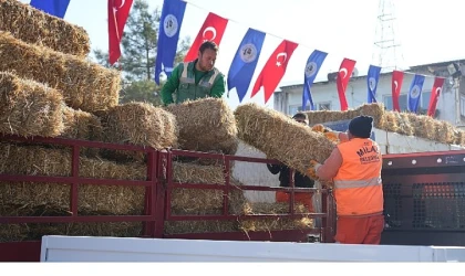Milas Belediyesi Üreticilere Yönelik Desteklerini Sürdürüyor