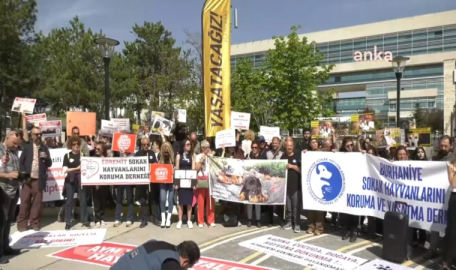 Türkiye’nin dört bir yanından Anayasa Mahkemesi önüne geldiler: “Katliam yasasını tanımıyoruz”