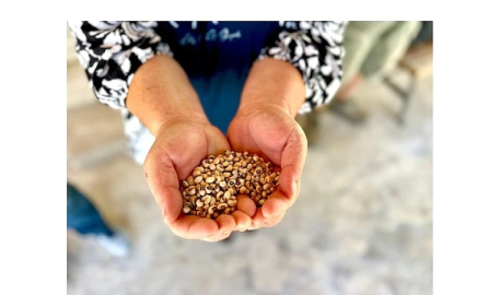 Köylünün toprağına, Urla’nın börülcesine sahip çıkıyoruz