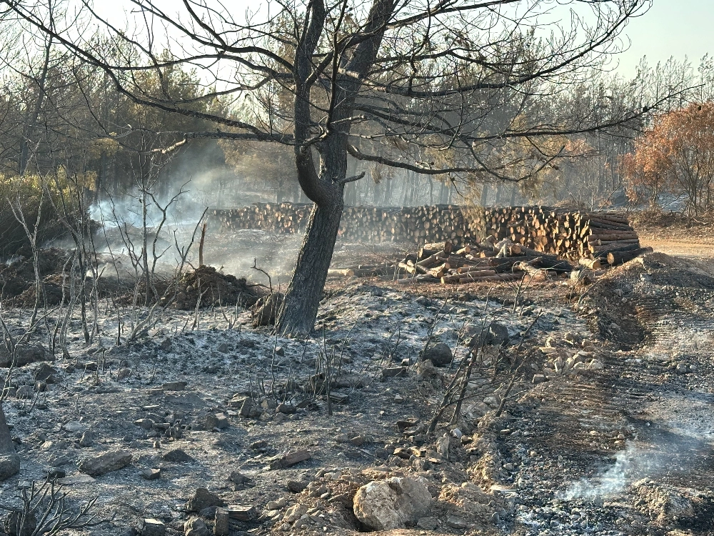 Buca - Gaziemir Yangını Fotoğraf Arşivi