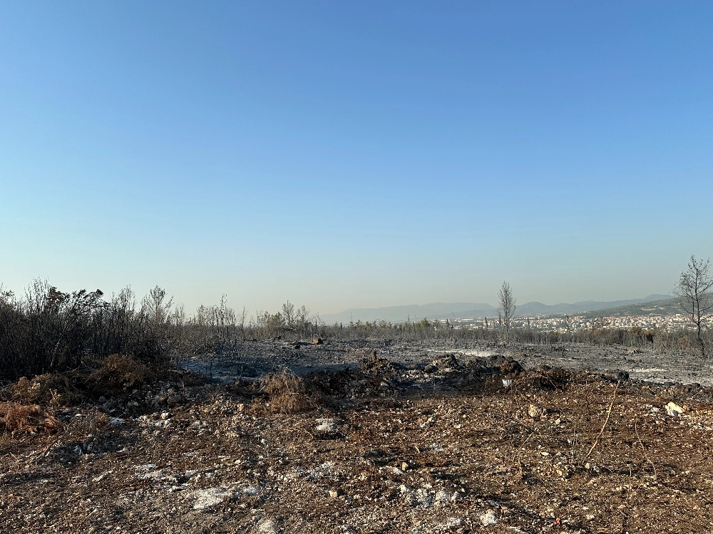 Buca - Gaziemir Yangını Fotoğraf Arşivi