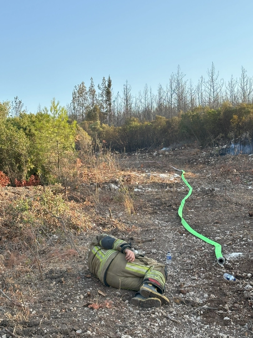 Buca - Gaziemir Yangını Fotoğraf Arşivi