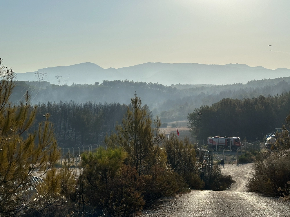 Buca - Gaziemir Yangını Fotoğraf Arşivi