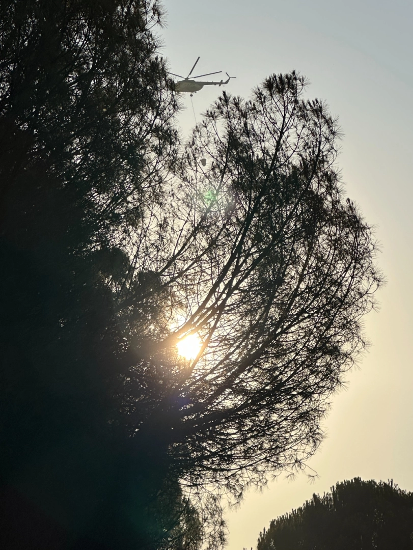 Buca - Gaziemir Yangını Fotoğraf Arşivi