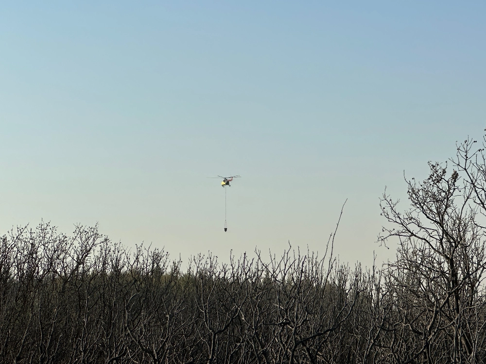 Buca - Gaziemir Yangını Fotoğraf Arşivi