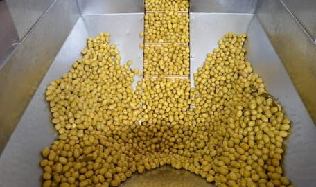 Zeytin ve zeytinyağı sektöründe güçler URGE Projesi’nde birleştirilecek