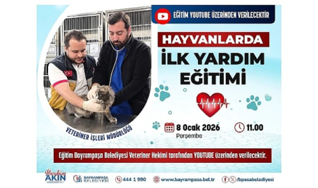 Patili dostlar için hayat kurtaran eğitim