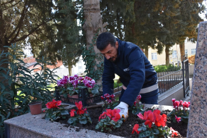 Bursa Gemlik’te şehitliklere titiz bakım