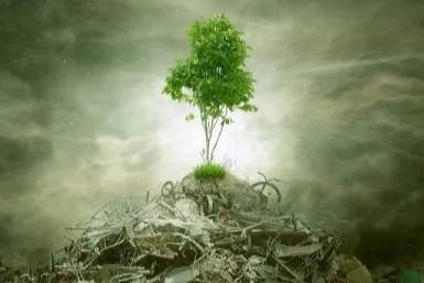 ÇED 'gerekli değil' kararı kaldırıldı! Yönetmelikle süreçler değişti