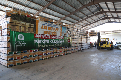 Antalya Büyükşehir’den arıcılara kovan desteği