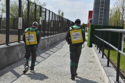 Başkent’te haşereyle etkin mücadele