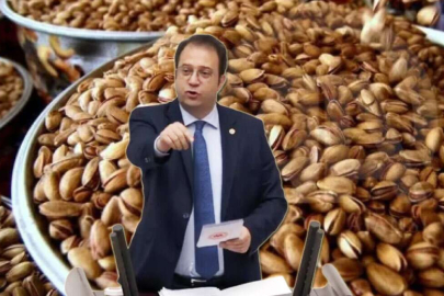 CHP Milletvekili İnan Akgün Alp’den ‘200 milyonluk fıstık’ tepkisi