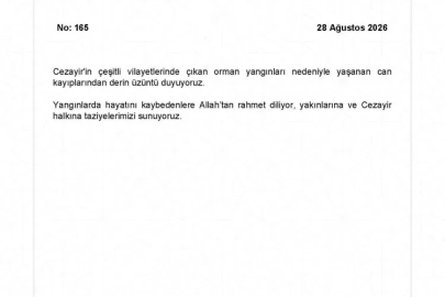 Türkiye’den Cezayir’deki orman yangınlarına taziye mesajı