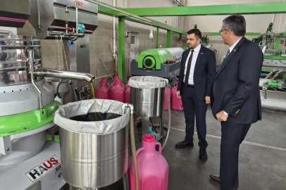 Manisa'da zeytin üreticisi isyanda